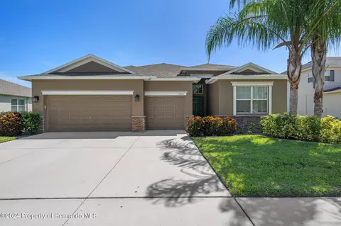 13933 Bee Tree Ct, Hudson, FL 34669 photo 1