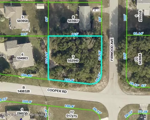 13907 Cooper Rd, Spring Hill, FL 34609