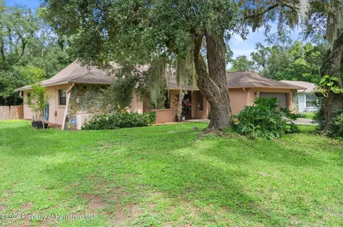 423 Trafalgar Ln, Spring Hill, FL 34606