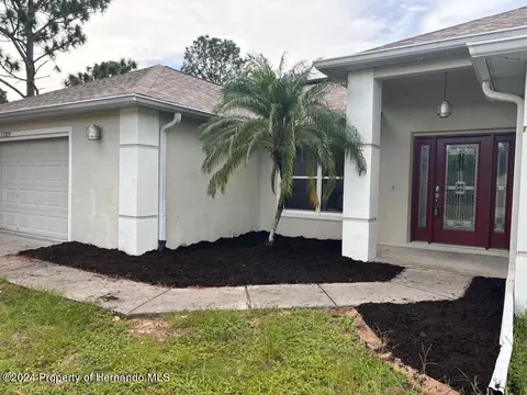 13329 Mitten Ln, Spring Hill, FL 34609 photo 1