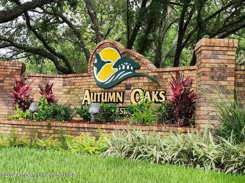 00000 Winding Oaks Blvd, Hudson, FL 34669