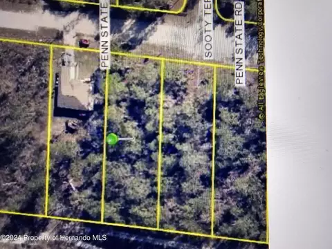 16153 Penn State Rd, Brooksville, FL 34614