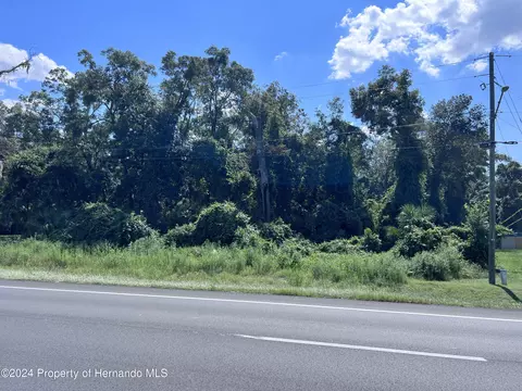 0 Us-19, Fanning Springs, FL 32693