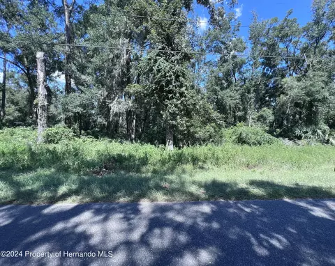 00 NW 90 Ct, Fanning Springs, FL 32693