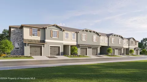 10980 Wishing Cloud Rd, Land O' Lakes, FL 34638