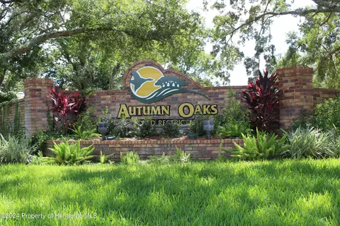0 Echo Mountain Dr, Hudson, FL 34667