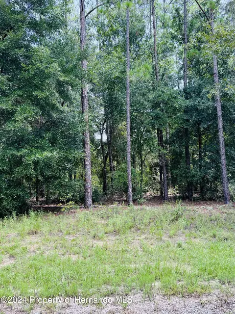 8681 Wallingford Ave N, Citrus Springs, FL 34434