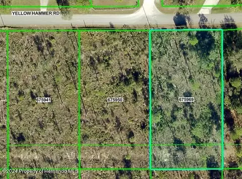 0 Yellow Hammer Rd, Weeki Wachee, FL 34614