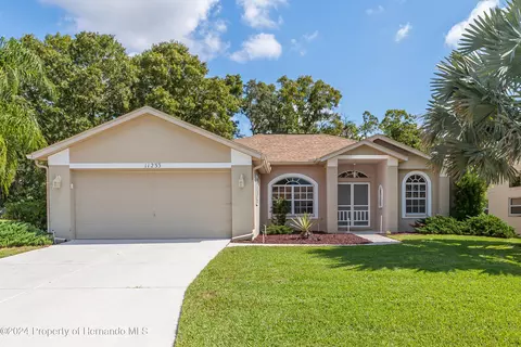 11233 Richford Ln, Spring Hill, FL 34609