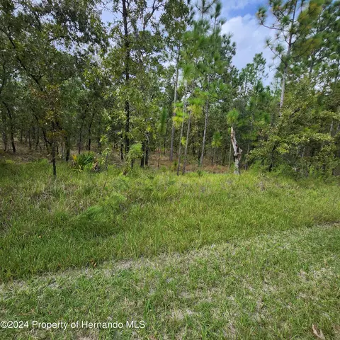 15355 Scaup Duck Ave, Brooksville, FL 34614