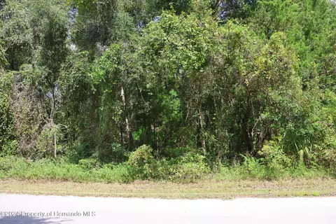439 S Snapp Ave, Inverness, FL 34452