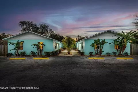 1016 E Lemon St, Tarpon Springs, FL 34689
