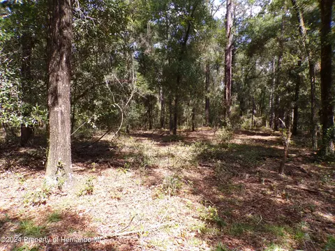 9153 N Danube Loop, Citrus Springs, FL 34434