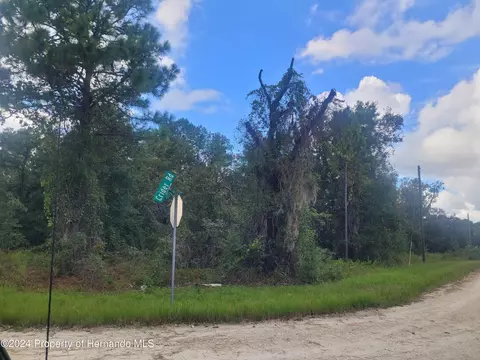 16224 Crider Rd, Weeki Wachee, FL 34614