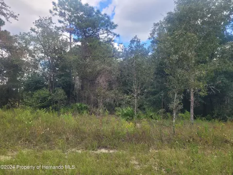 13442 Cormorant Rd, Weeki Wachee, FL 34614