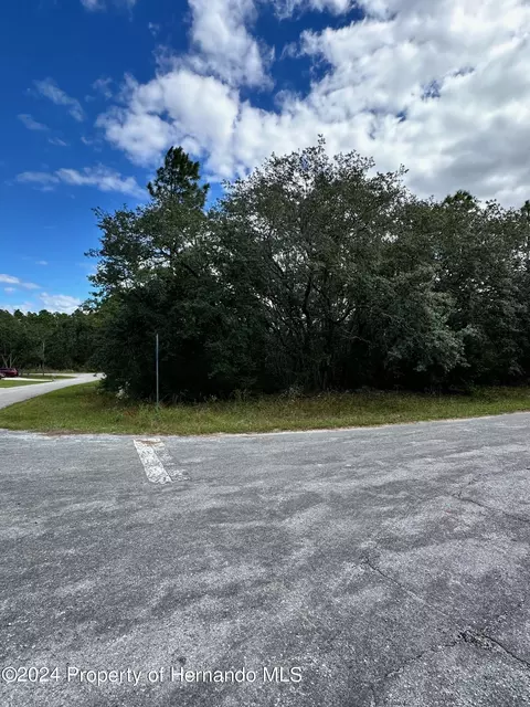 7199 N Regent Ter, Citrus Springs, FL 34433