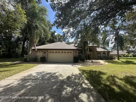312 Hollow Oak Ct, Spring Hill, FL 34609