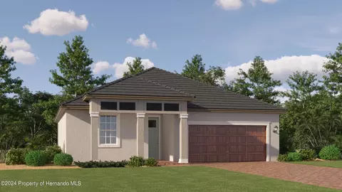 10093 Banyan Breeze Blvd, Land O' Lakes, FL 34638