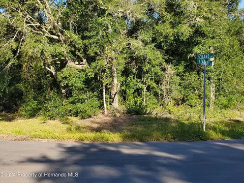 10752 Academy Dr, Citrus Springs, FL 34434
