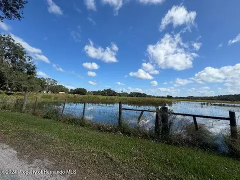 00 Cr-755, Webster, FL 33597 photo 4