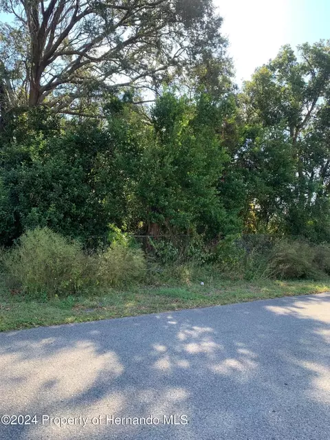 000 Parnell Ave, Spring Hill, FL 34608