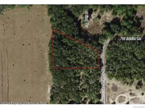 11916 N Captiva Ter, Dunnellon, FL 34433