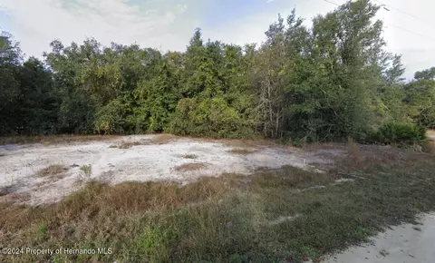 0 Native Rock Dr, Webster, FL 33597