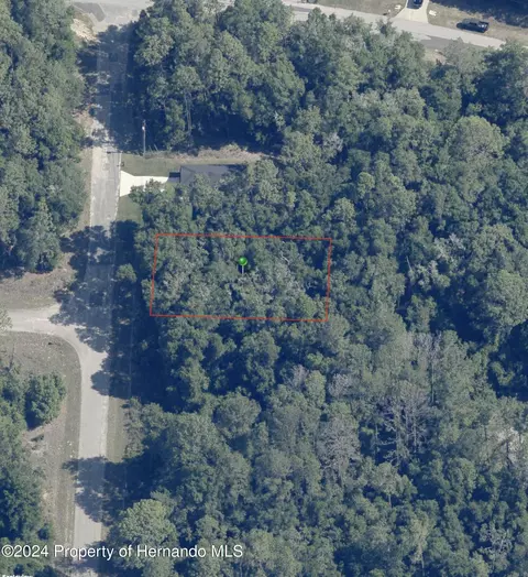 219 E Caldwell Dr, Citrus Springs, FL 34434