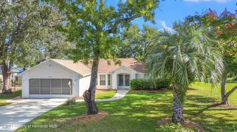 4322 Dewberry St, Spring Hill, FL 34608