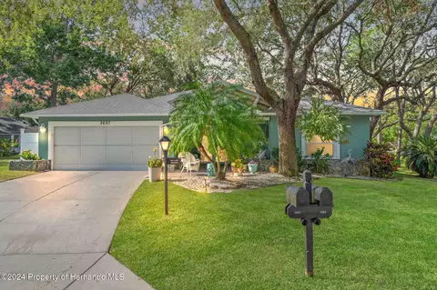 2697 Royal Ridge Dr, Spring Hill, FL 34606