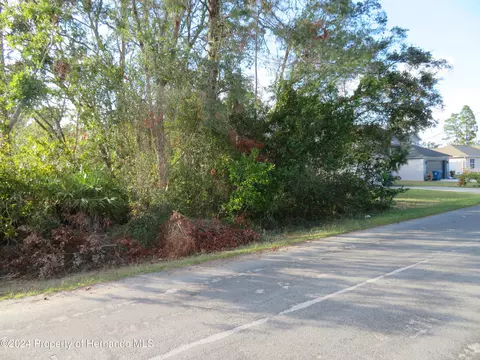 0 Tomahawk Ave, Spring Hill, FL 34606 photo 1