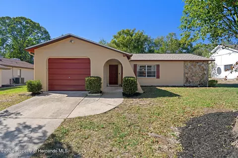 303 Clearfield Ave, Spring Hill, FL 34606 photo 1