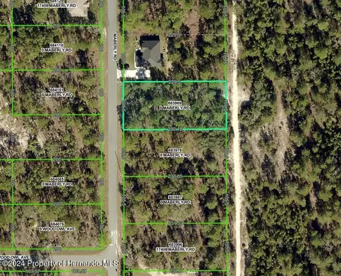 0 Maberly Rd, Weeki Wachee, FL 34614