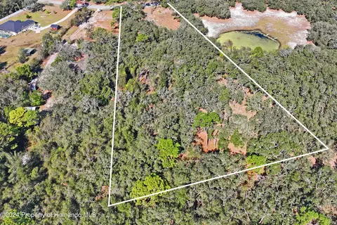 16900 Akins Dr, Shady Hills, FL 34610