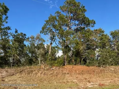0 Trumbull Dr, Spring Hill, FL 34609