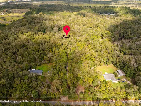 16109 Buczak Rd, Brooksville, FL 34614