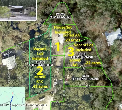 9347 River Rock Dr, Webster, FL 33597