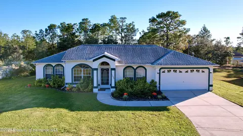 11296 Gallinule Ave, Spring Hill, FL 34613