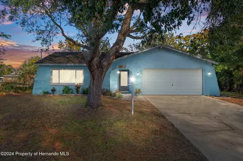 11079 Marysville St, Spring Hill, FL 34609