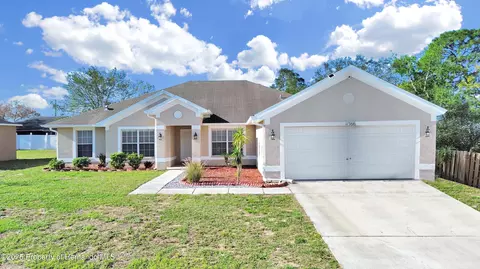 11366 Riddle Dr, Spring Hill, FL 34609 photo 1