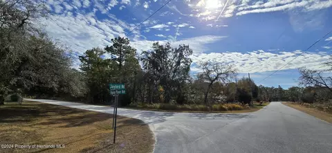 0 Piping Plover Ave, Weeki Wachee, FL 34614