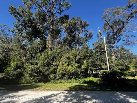 0 Grand Ave, Masaryktown, FL 34604