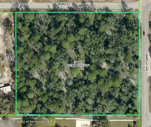 6317 Barclay Ave, Spring Hill, FL 34609