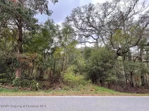 0 Mitchell Rd, Brooksville, FL 34601