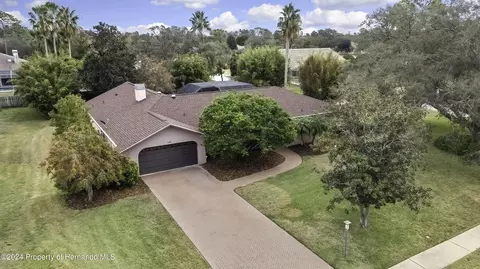 4264 River Birch Dr, Spring Hill, FL 34607