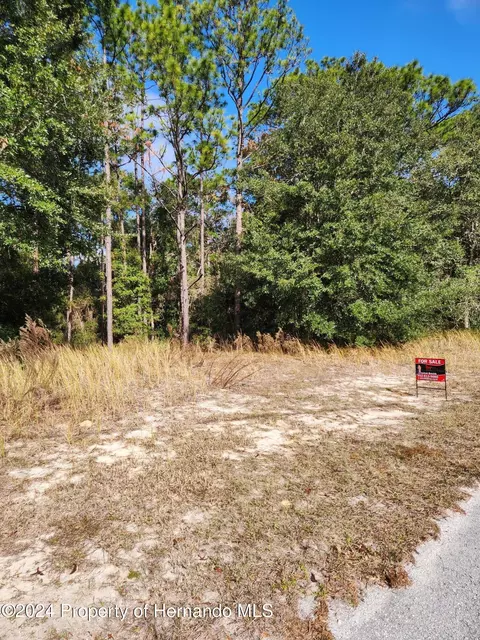 2105 W Graywood Dr, Beverly Hills, FL 34465