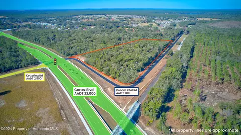 0 Croom Rital Rd, Brooksville, FL 34602