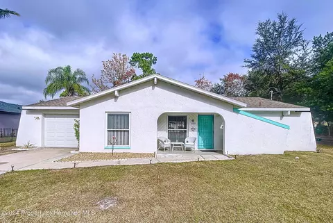 11083 Elgin Blvd, Spring Hill, FL 34608