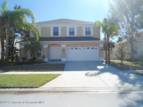 9432 Black Thorn Loop, Land O' Lakes, FL 34638