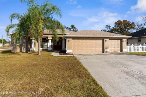 3100 Dothan Ave, Spring Hill, FL 34609